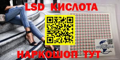 винт Новозыбков