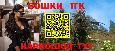 молекула духа Новодвинск