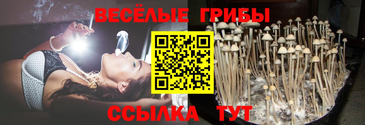 Таганрог  Псилоцибиновые грибы ЛСД  Вход с VPN 
