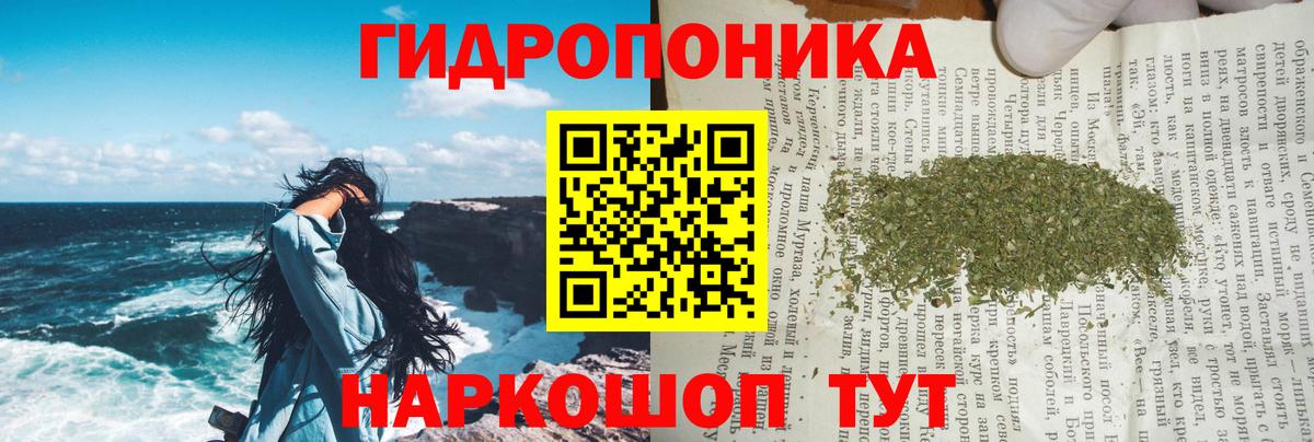 Конопля план  Бошки марихуана планчик  Таганрог  Вход с VPN 
